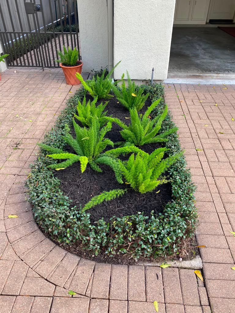 New plants installed in a residential landscape